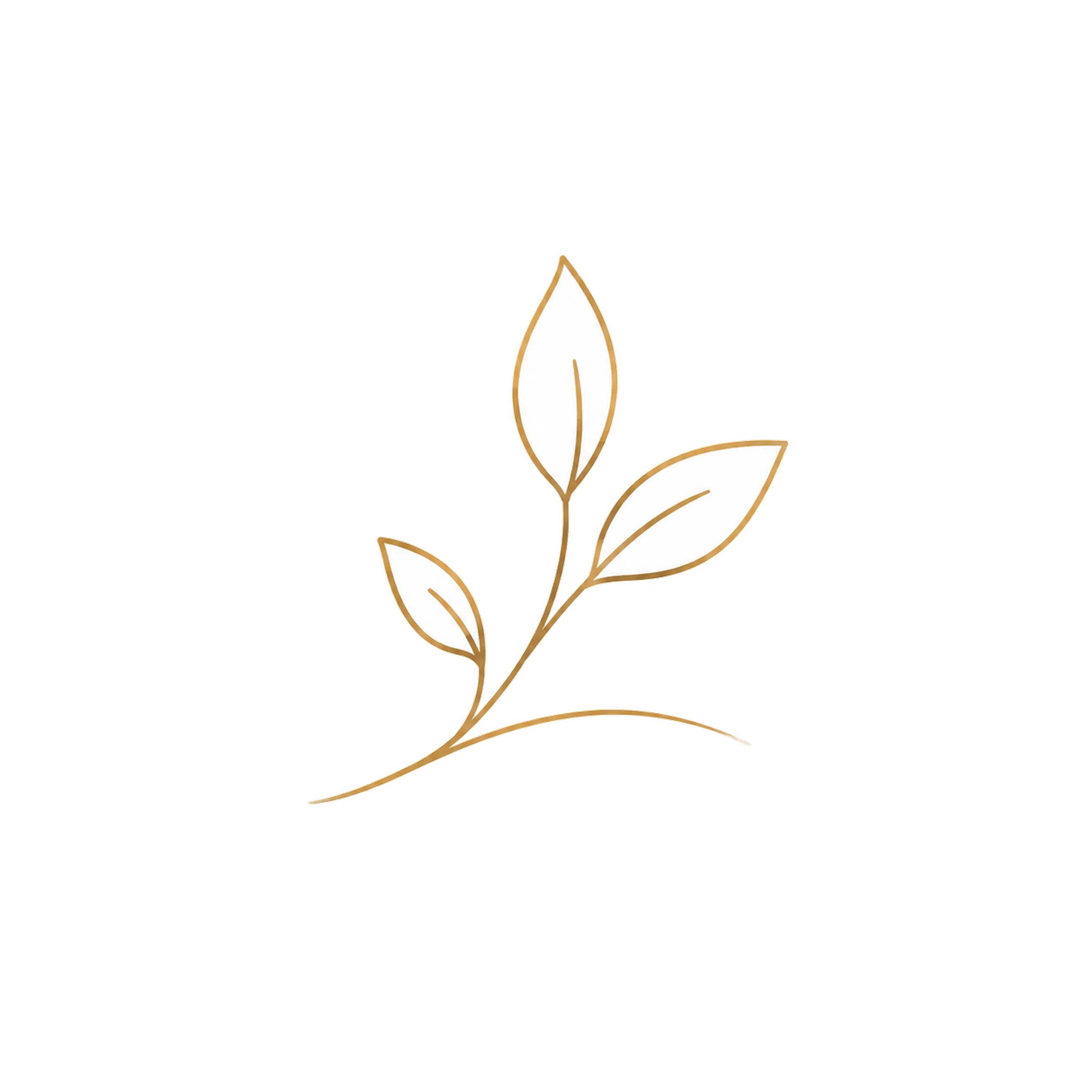 سفر